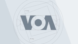 http://www.voanews.com/MediaAssets2/russian/2010_07/Int_Lvov_073010.wmv