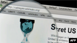 WikiLeaks и «Закон о шпионаже»: свежий взгляд на свободу слова в интернете