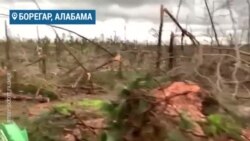 В результате торнадо в Алабаме погибли 23 человека